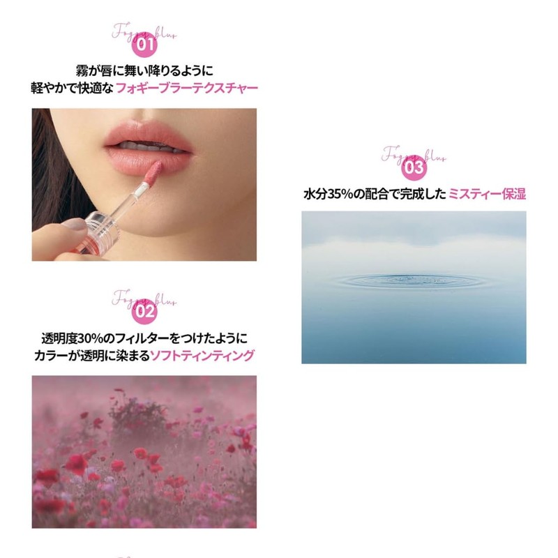 HOLIKAHOLIKA Foggy Blur Tint Holica Moist Misty Transparency 30% Coloring