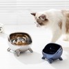 Cat Bowl Proper Height Mirror Safety Ceramic Stable Large Capacity