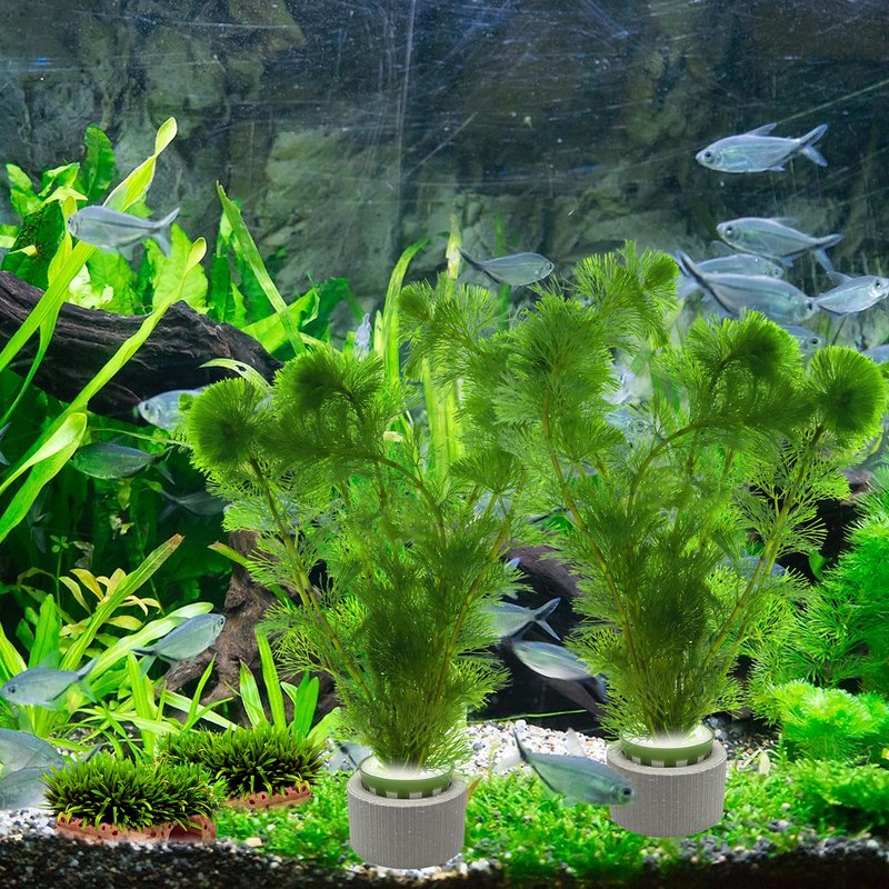 Rainmae 16 Pack New Upgrade Aquarium Plant Weights, Aquatic Water