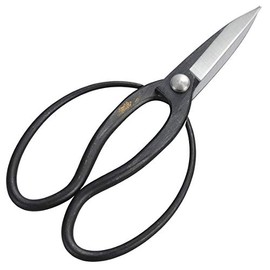 Kinboshi 3004 Venus Long Blade Okubo Shears (with Steel)