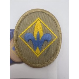Vintage 2007 BSA Cub Scout Webelos Rank Patch On  Original Presentation Card