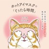 Cat Kimochi Nyan Wari Steam Eye Mask, Mike No Kimochi,