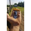 Sterling Pocket Knife / Tool Sharpener & Compact Fire Ant