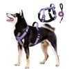UNA MASCOTA Arnés para Perros Reflectante y Transpirable - Correa