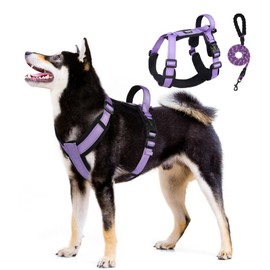 UNA MASCOTA Arnés para Perros Reflectante y Transpirable - Correa de Pecho Cómoda para Perros con Correa 1.5m (Morado, S)