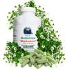 Mother Herb [Migraine Herb] Feverfew "Kopfgewitter" 360 Capsules Pure Natural