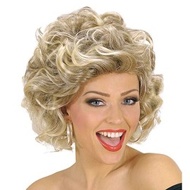Olivia s In Box Wig for Hair Accessory Fancy Dress