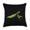 Cute Praying Mantis Love Funny Praying Mantis Throw Pillow