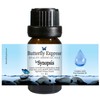 Le Synopsis Essential Oil Blend 10ml - 100% Pure -
