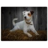 Rural Roots Jack Russell Placemat Pack Of 4