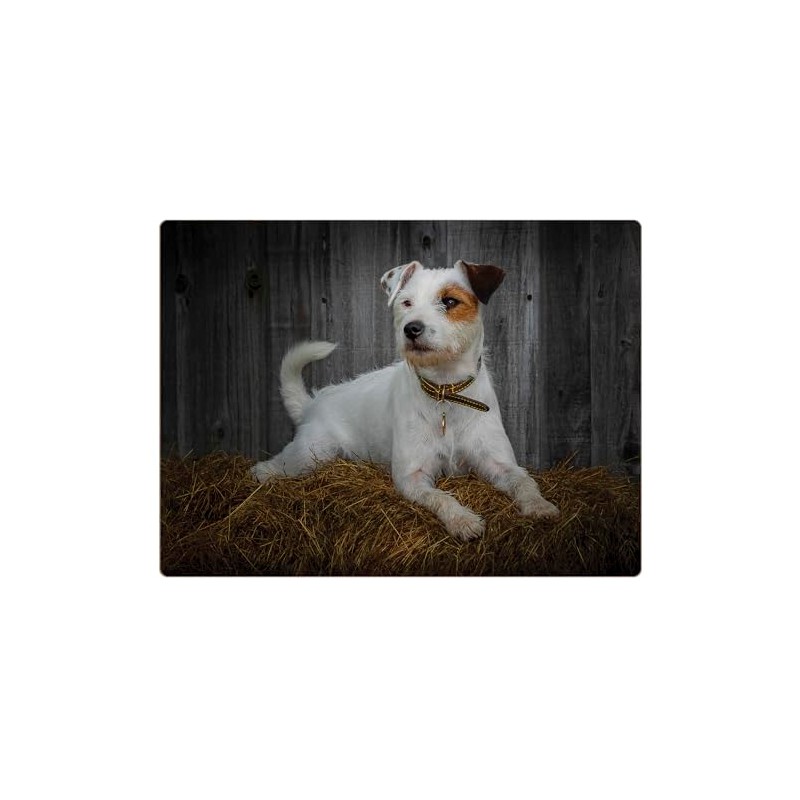 Rural Roots Jack Russell Placemat Pack Of 4