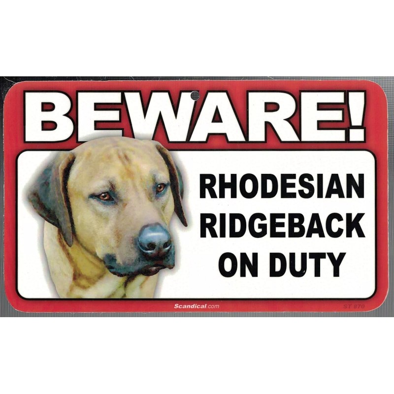 SCANDICAL BEWARE GUARD RHODESIAN RIDGEBACK DOG ON DUTY 5" X
