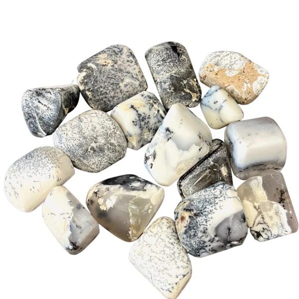 BellaMira Dendritic Agate Tumblestone Healing Crystal, Single Polished Stone, Healing