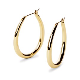 Ana Luisa Thin Hoop Earrings - Cuidado Hoop Earrings - 14K Gold Plated and Silver Rhodium Plated Hoops - Hypoallergenic, Water-Resistant, Tarnish-Free - Stylish Gold, Silver Hoop Earrings for Women (Gold)