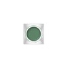 Lunasol Glam Wink Frost 05 Eye Shadow 05 Beryl Green
