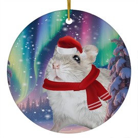 Funny Djungarian Hamster Christmas Ornament 2025 Ceramic Circle White - Festive Winter Northern Lights Holiday Xmas Tree Hanging Decoration Gifts for Hamster Lovers