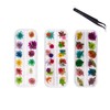 YFFSFDC Nail Pressed Flowers Dried Flowers for Nail Art Resin