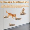 4 in 1 Parete da Arrampicata per Gatti, Scala a