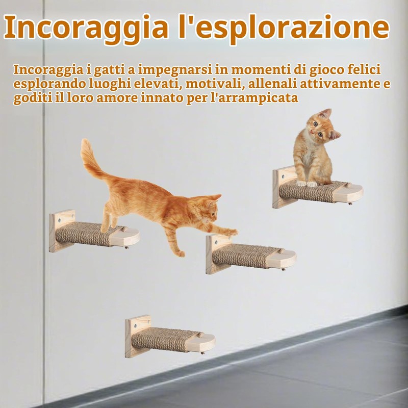 4 in 1 Parete da Arrampicata per Gatti, Scala a