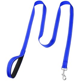 FunTags 6FT Reflective Dog Leash with Soft Padded Handle for Training,Walking Lead for Large & Medium Dog,1 Inch Wide,Royal Blue