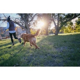 Jolly Pets Tug-n-Toss Dog Toy Ball with Handle, 8 Inches/Large, Blue