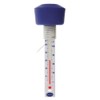 Floating Water Thermometer With Blue Float to Easily Read Water
