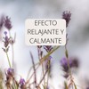 EDENA | Jabón Líquido Lavanda | Limpia y Protege la