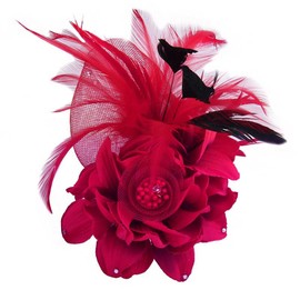 Elegant Flower Brooch for Women Feather Wedding Party Dance Banquet Pins Hairpins for Lady Floral Hat Lapel Dress Suit Ceremony Accessories Corsage Brooches Vintage CZ Jewelry Gifts Favors (Red)