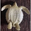 Sea Turtle Baby - AAA Replica