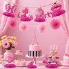 BOXOB 9pcs Hot Pink Princess Party Honeycombs, Centepieces 3D Girl
