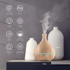 Anjou AD012 500ml Cool Mist Humidifier Aromatherapy Diffuser w/ Free