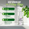 Mighty Mint Peppermint Oil Spider Repellent Spray with Microfiber Cloth