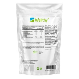 Suplemento Wellthy Creatina Creapure De 330g