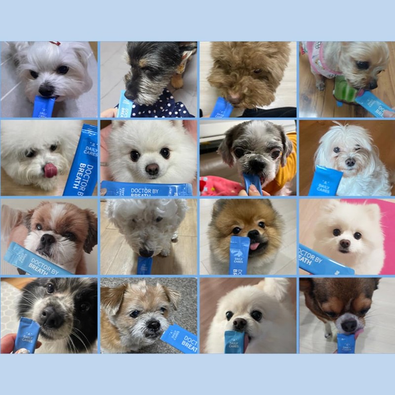 ドクターバイ ブレス 犬サプリメント TF-343 マグネシウム プロポリス キトサン 液状タイプ 30本(240g) (1)