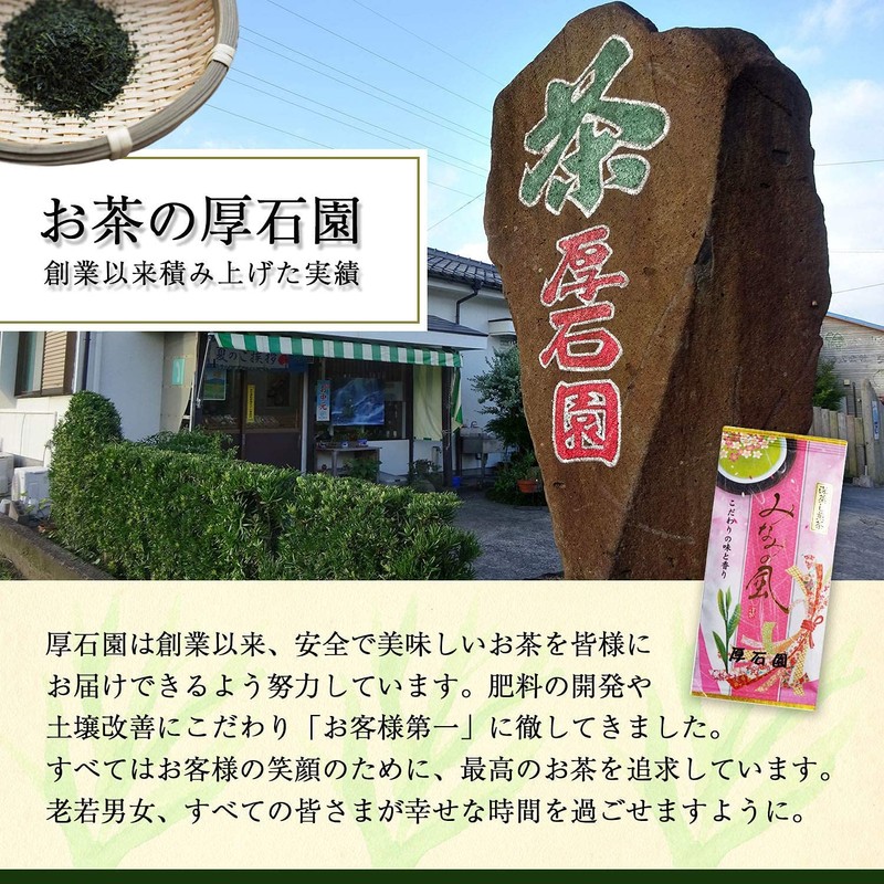 【鹿児島産煎茶 みなみの風 100g】農薬不使用 自家製有機質肥料栽培 高級緑茶葉 知覧(深蒸し煎茶)