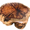 THY COLLECTIBLES Natural Tree Trunk Stump Stool with Live Edge