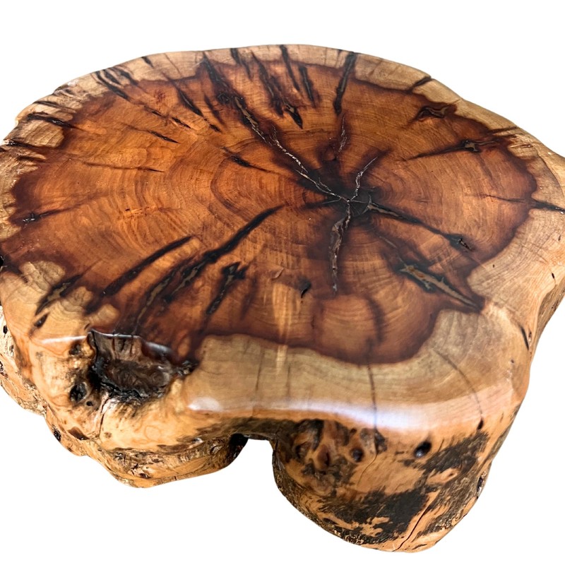 THY COLLECTIBLES Natural Tree Trunk Stump Stool with Live Edge