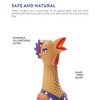 Charming Pet Squawkers Henrietta Latex Rubber Chicken Interactive Dog Toy,