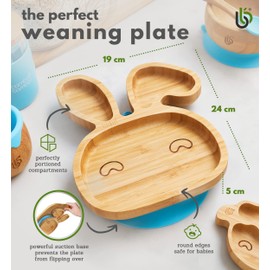 bamboo bamboo Baby Plate and Toddler Plate, Suction Plate for Feeding and Weaning, Bamboo Bunny Plate with Secure Suction, Suction Plates for Babies from 6 Months (Bunny, Orange)
