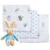 Peter Rabbit Gift Set - Unisex Beatrix Potter Soft Toy