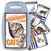 Top Trumps Card Game Cats - Family Games for Kids