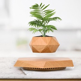 Leekimid Levitating Plant Pot, Magnetic Levitation Flower Pot Suspension Floating Plant Succulents, Air Bonsai Potted Plant for Home Decoration, Living Room, Office, Desk (Wood)