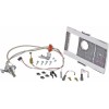 Rheem-Ruud SP21058 Pilot Assembly Replacement Kit