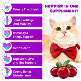 Cat Multivitamin, 15 in 1 Cat Multivitamin Liquid Drops, Cats Vitamins and Supplements with Glucosamine and Probiotics, Bones, Joint, Skin & Coat, Bladder, Immune System Support, 60ML