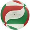 Molten V5M4550 Pro Touch Volleyball No. 5 Ball
