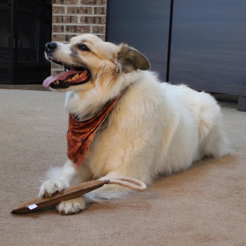 SPOT Dura-Fused Leather Retriever Dog Toy – Real Leather &