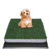NINXANG Reusable Training Pad Potty with 2-Pack Replaceable Artificial Grass