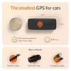 Weenect Weenect Cat XS - NEW GPS Tracker for Cats