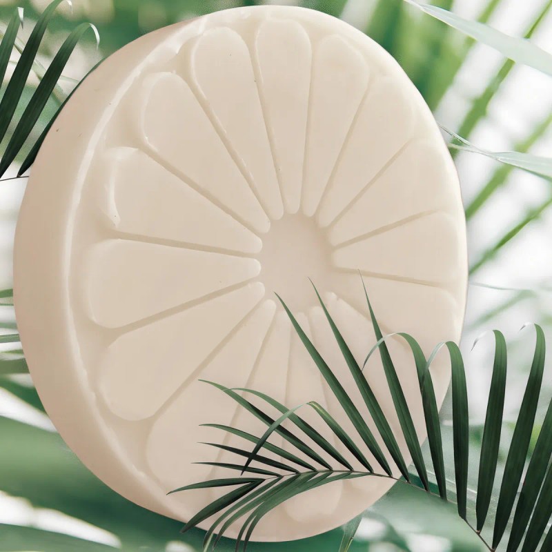Jabón Amolli Hotelero Redondo 15g Base Vegetal Paquete 100 Pzs