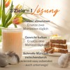 SHAPE REPUBLIC Carrot Cake - Abnehm Shake - Unwiderstehlich lecker